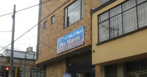 PEZ MARES FC PESCADOS Y MARISCOS BOGOTÁ PEZ MARES FC PESCADOS Y MARISCOS BOGOTÁ